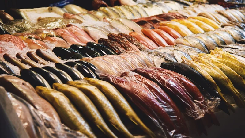 9월 제철 - 싱싱한 갈치와 전복