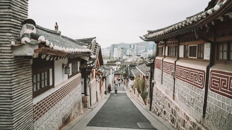 복날 삼계탕 - 닭 안에 찹쌀, 인삼, 대추 등이 가득 찬 모습