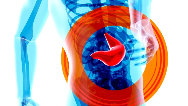 유산균 아침 - 건강한 장 환경을 시각화한 그래픽